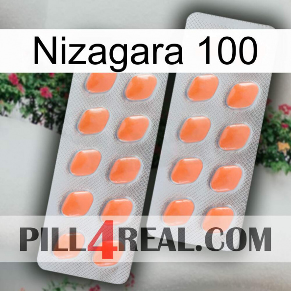 Nizagara 100 27.jpg